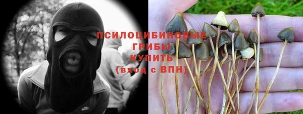 хмурый Заволжье