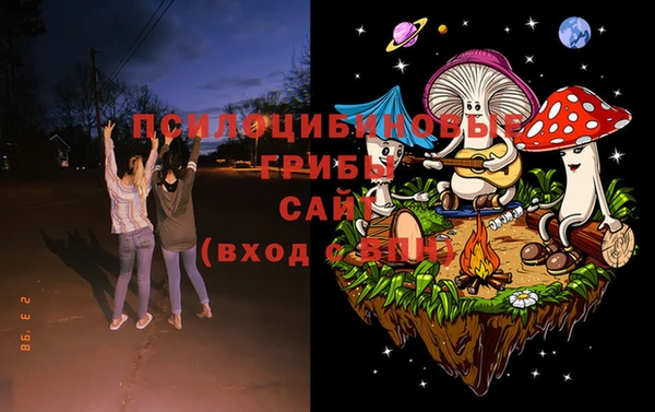 mix Сосновый Бор