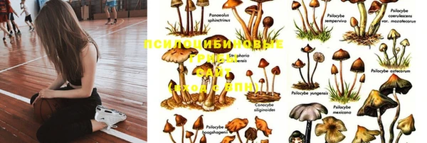 мескалин Зеленокумск