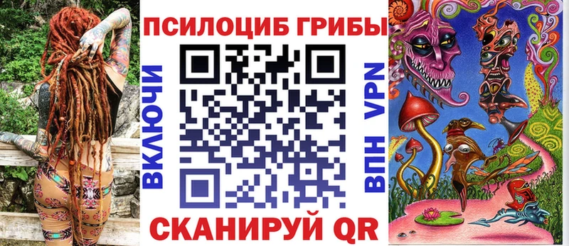 KRAKEN зеркало  Махачкала  Псилоцибиновые грибы Psilocybe 